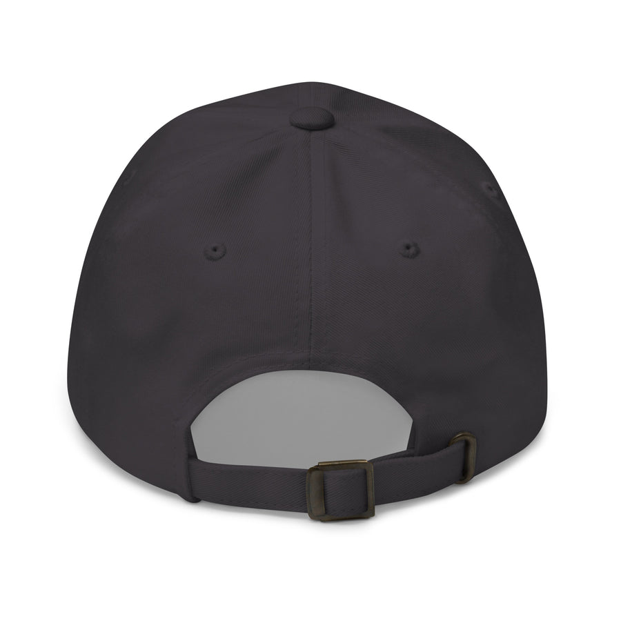 Washington Moneyline Hat