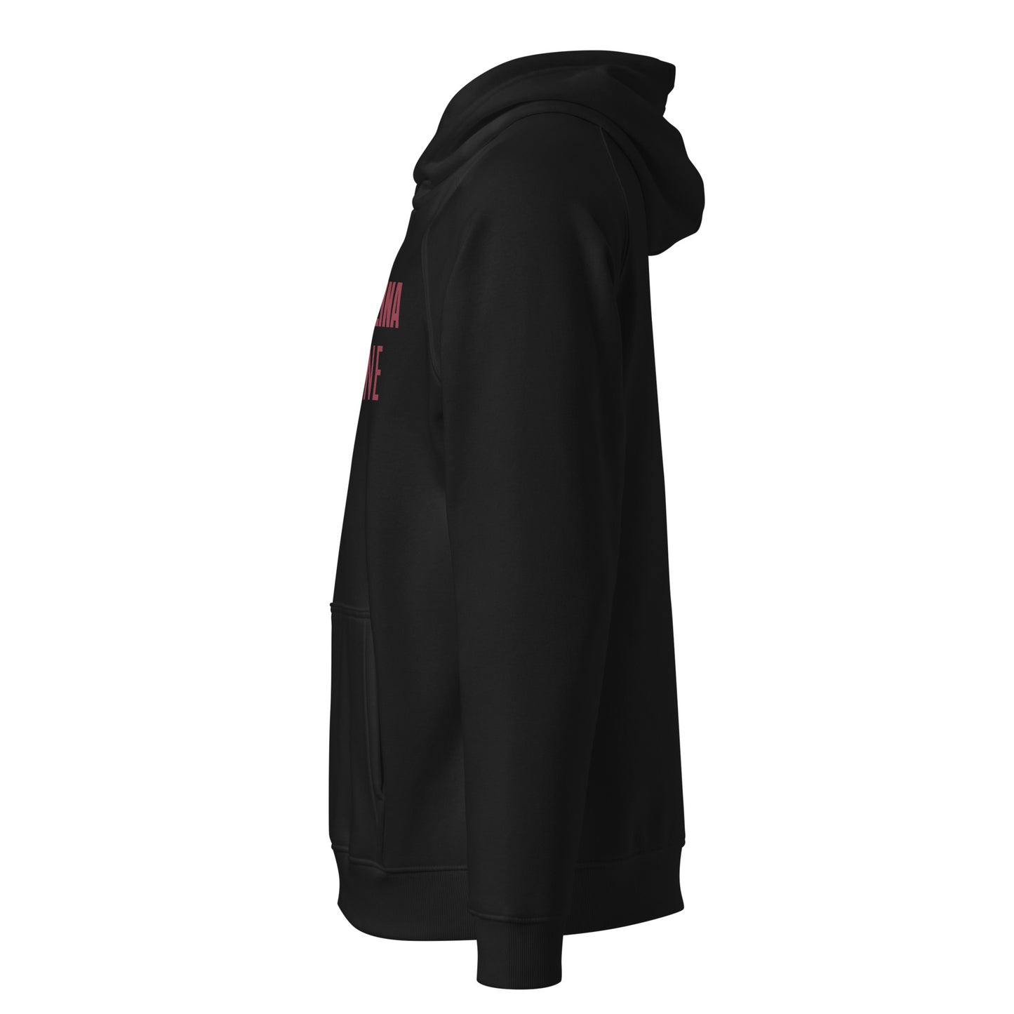 South Carolina Moneyline Hoodie
