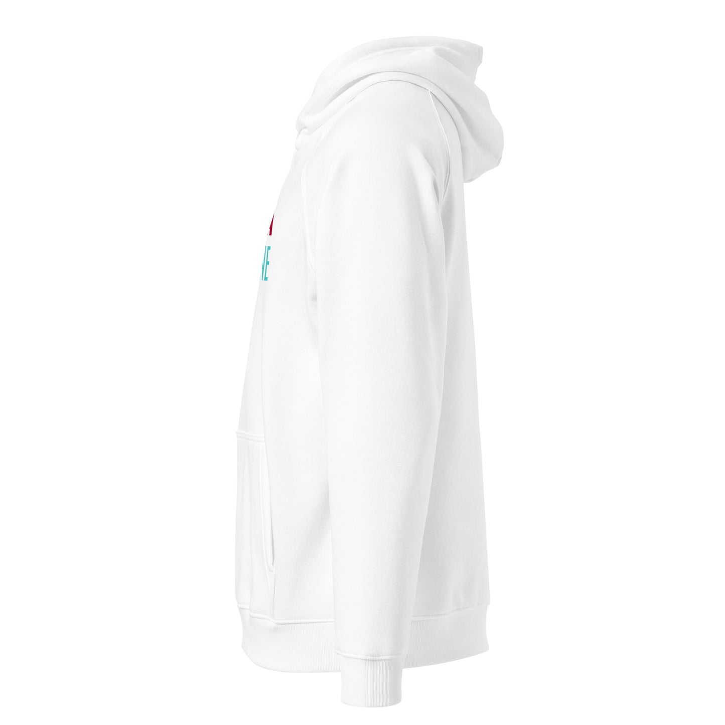 Arizona Moneyline Hoodie