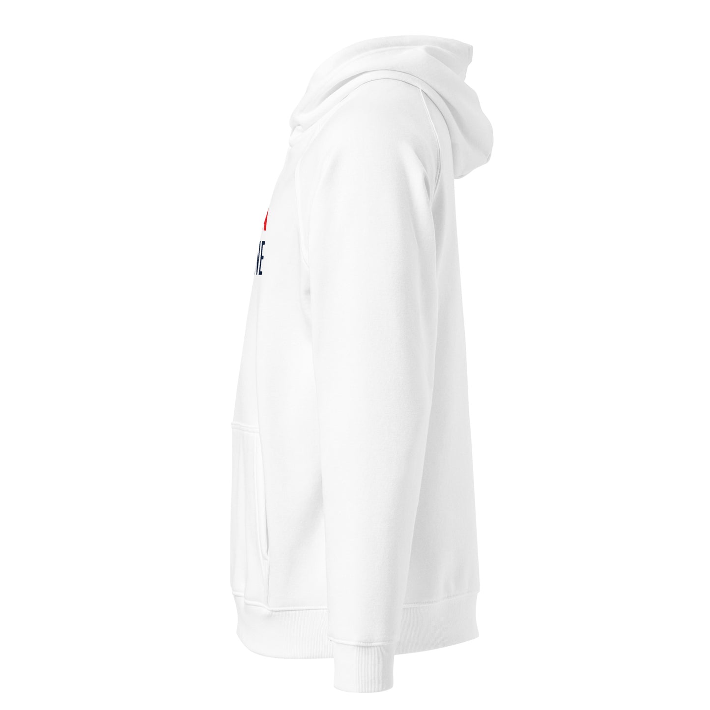 Arizona Moneyline Hoodie