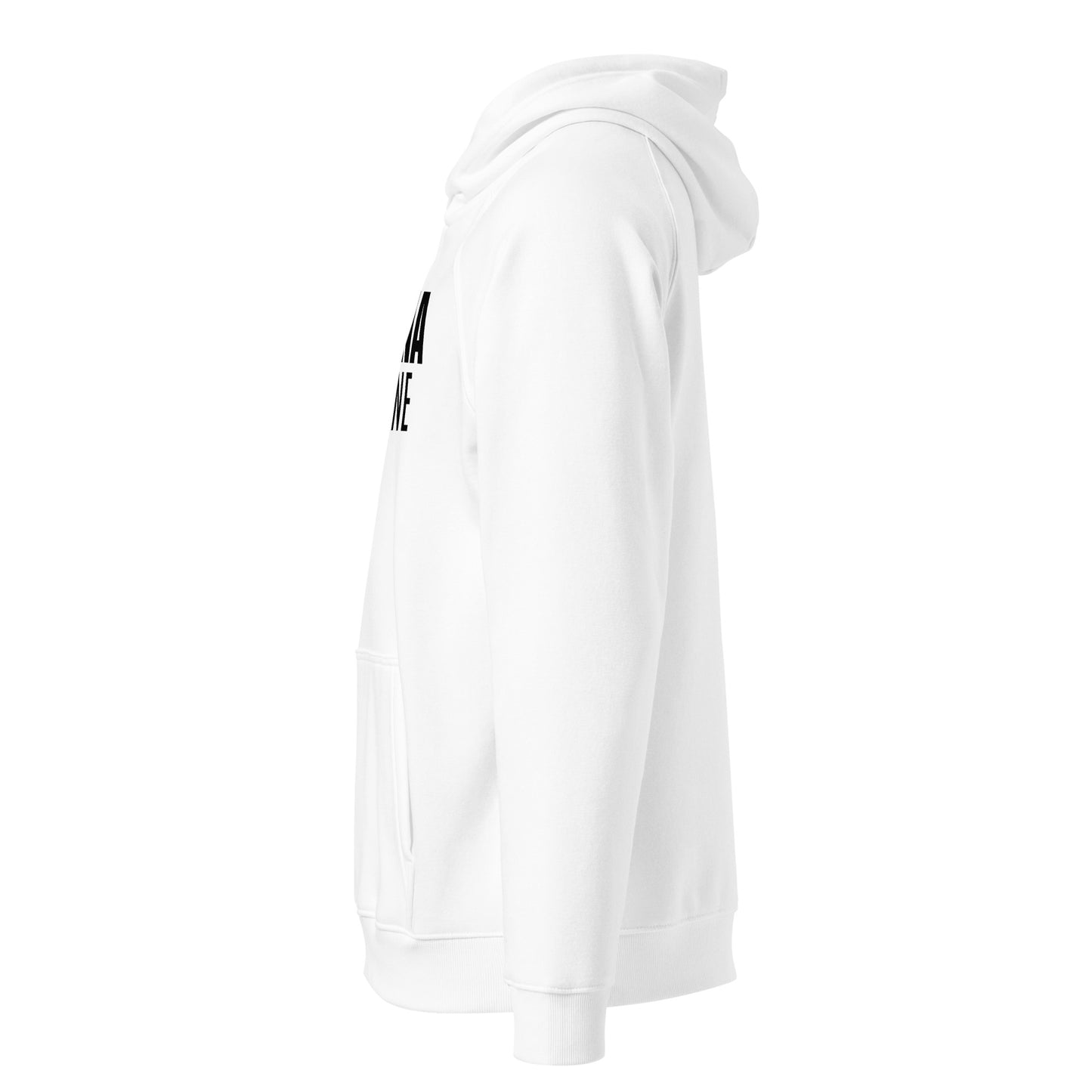 Louisiana Moneyline Hoodie