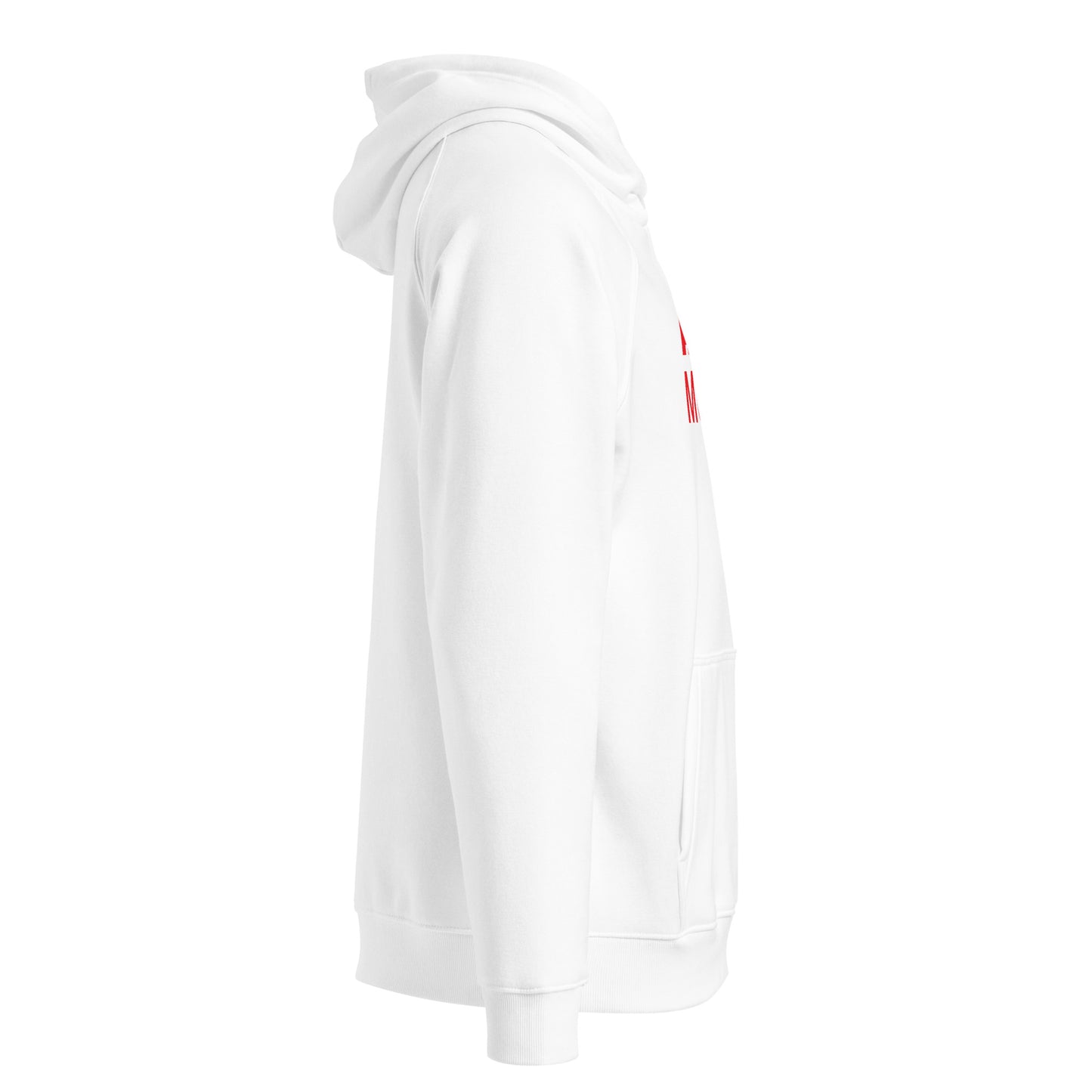 Arizona Moneyline Hoodie